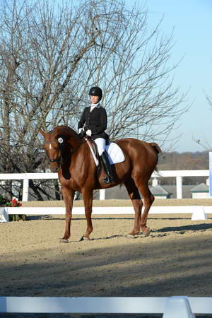 HHB-DressageFinals-11-9-13-2323-DDeRosaPhoto