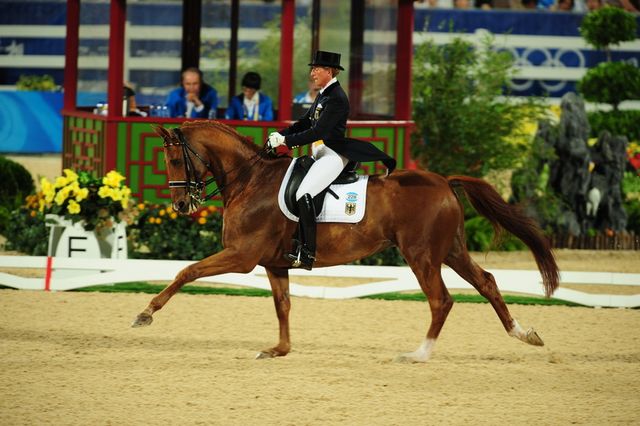 HKD-8-13-08-0546-HeikeKemmer-Bonaparte-GER-DeRosaPhoto.jpg