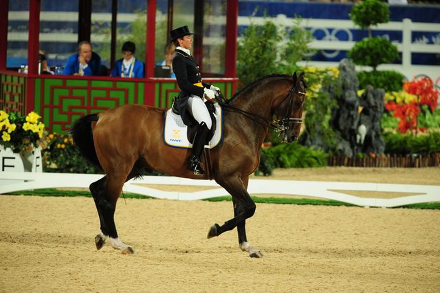 HKD-8-13-08-0981-TinneSilfven-SolosCarex-SWE-DeRosaPhoto.jpg