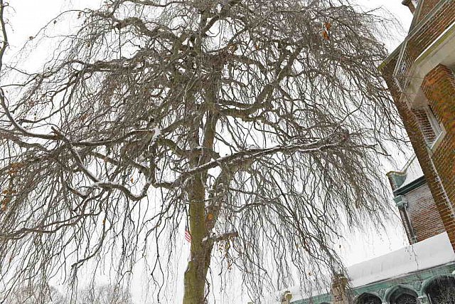 31 Fort Hill-12-17-2020-Snowstorm--0027-DDeRosaPhoto