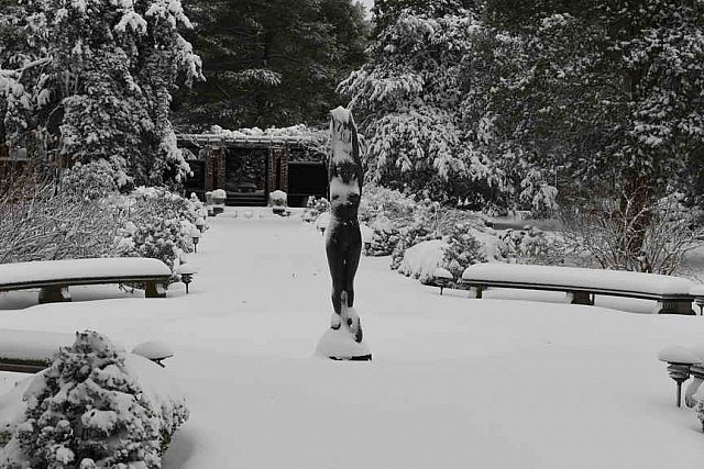 31 Fort Hill-12-17-2020-Snowstorm--0173-DDeRosaPhoto