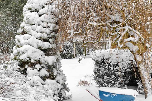 31 Fort Hill-12-17-2020-Snowstorm--0207-DDeRosaPhoto
