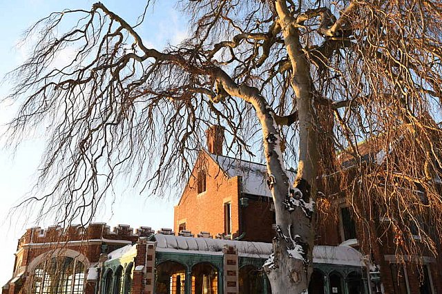31 Fort Hill-12-17-2020-Snowstorm--0296-DDeRosaPhoto