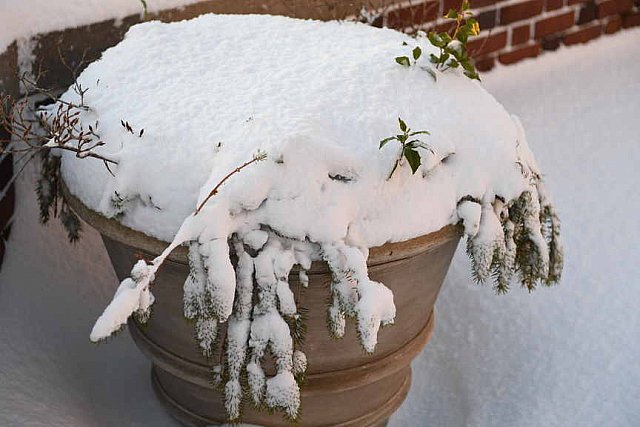 31 Fort Hill-12-17-2020-Snowstorm--0309-DDeRosaPhoto
