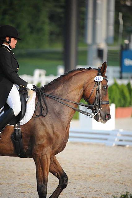 NAJYRC-7-30-11-DR-Freestyle-7713-AnneFerrisYanney-RockyRoadTrip-DDeRosaPhoto.JPG