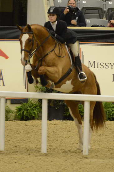 NHS-11-4-12-6718-LaurenHenry-DDeRosaPhoto