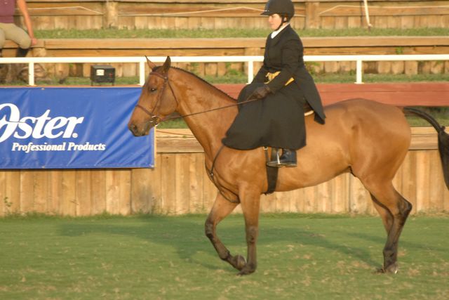 634-StephanieHayes-ZeigfeldFollies-12-2-06-&copy;DeRosaPhoto.jpg