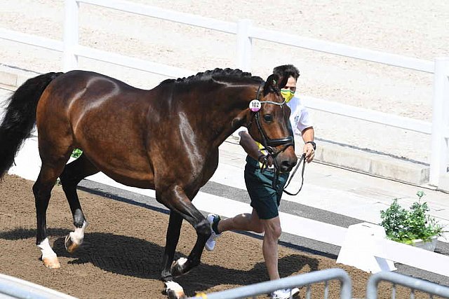 OLY-2020-DRESSAGE-JOG-7-24-21-0726-102-KELLY LAYNE-SAMHITAS-AUS-DDEROSAPHOTO