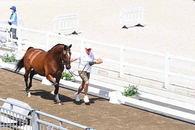OLY-2020-DRESSAGE-JOG-7-24-21-0756-106-C SCHUMACH C-TE QUIERO SF-AUT-DDEROSAPHOTO