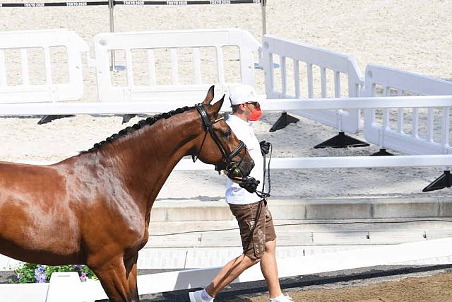 OLY-2020-DRESSAGE-JOG-7-24-21-0758-106-C SCHUMACH C-TE QUIERO SF-AUT-DDEROSAPHOTO