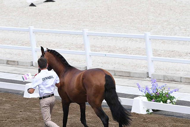 OLY-2020-DRESSAGE-JOG-7-24-21-0800-112-OLIVA JV MARCARI-ESCORIAL-BRA-DDEROSAPHOTO