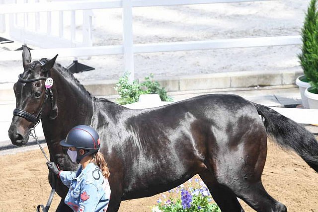 OLY-2020-DRESSAGE-JOG-7-24-21-0827-115-LALIBERTE MOREIRA-STATESMAN-CAN-DDEROSAPHOTO
