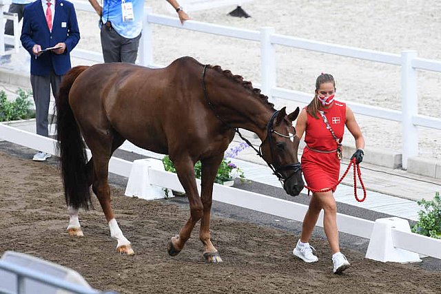 OLY-2020-DRESSAGE-JOG-7-24-21-0849118-CATHRINE DUFOUR-BOHEMIAN-DEN-DDEROSAPHOTO
