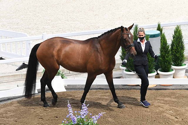 OLY-2020-DRESSAGE-JOG-7-24-21-0886-122-LOSIS DE MUNIZ Y-AQUAMARIJN-DOM-DDEROSAPHOTO