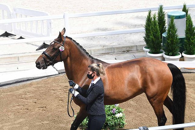 OLY-2020-DRESSAGE-JOG-7-24-21-0888-122-LOSIS DE MUNIZ Y-AQUAMARIJN-DOM-DDEROSAPHOTO