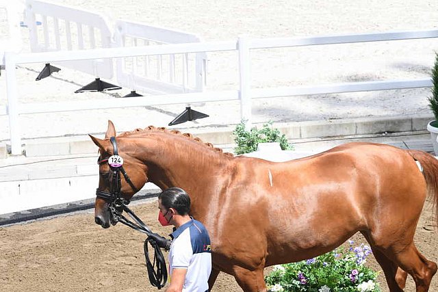 OLY-2020-DRESSAGE-JOG-7-24-21-0898-124-JA GARCIA MENA-DIVINA ROYAL-ESP-DDEROSAPHOTO