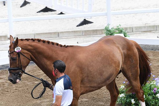 OLY-2020-DRESSAGE-JOG-7-24-21-0929-125-JA GARCIA MENA-SORENTO 15-ESP-DDEROSAPHOTO