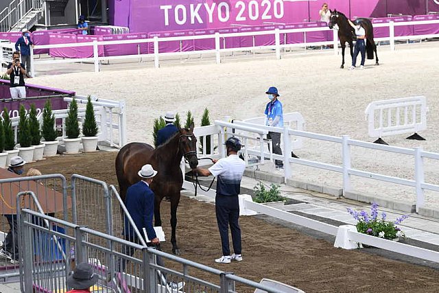 OLY-2020-DRESSAGE-JOG-7-24-21-0970-132-ISABELLA PINTO-HOT CHOCOLAT VD-KWAPLAS-FRA-DDEROSAPHOTO