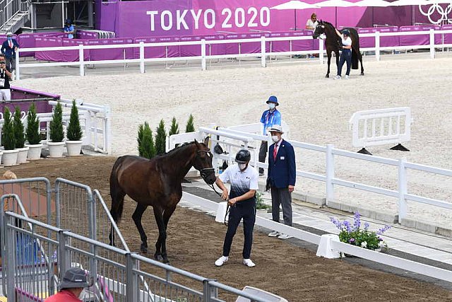 OLY-2020-DRESSAGE-JOG-7-24-21-0972-132-ISABELLA PINTO-HOT CHOCOLAT VD-KWAPLAS-FRA-DDEROSAPHOTO