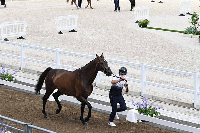 OLY-2020-DRESSAGE-JOG-7-24-21-0974-132-ISABELLA PINTO-HOT CHOCOLAT VD-KWAPLAS-FRA-DDEROSAPHOTO