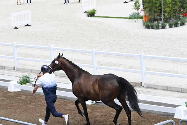 OLY-2020-DRESSAGE-JOG-7-24-21-0978-132-ISABELLA PINTO-HOT CHOCOLAT VD-KWAPLAS-FRA-DDEROSAPHOTO