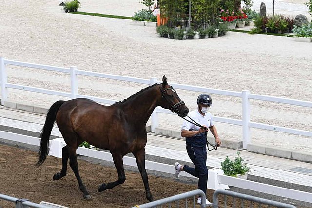OLY-2020-DRESSAGE-JOG-7-24-21-0981-132-ISABELLA PINTO-HOT CHOCOLAT VD-KWAPLAS-FRA-DDEROSAPHOTO