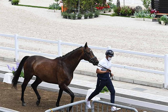 OLY-2020-DRESSAGE-JOG-7-24-21-0982-132-ISABELLA PINTO-HOT CHOCOLAT VD-KWAPLAS-FRA-DDEROSAPHOTO