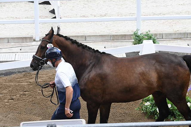OLY-2020-DRESSAGE-JOG-7-24-21-0984-132-ISABELLA PINTO-HOT CHOCOLAT VD-KWAPLAS-FRA-DDEROSAPHOTO