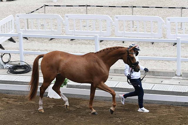 OLY-2020-DRESSAGE-JOG-7-24-21-0991-133-CHARLOTTE DUJARDIN-GIO-GBR-DDEROSAPHOTO