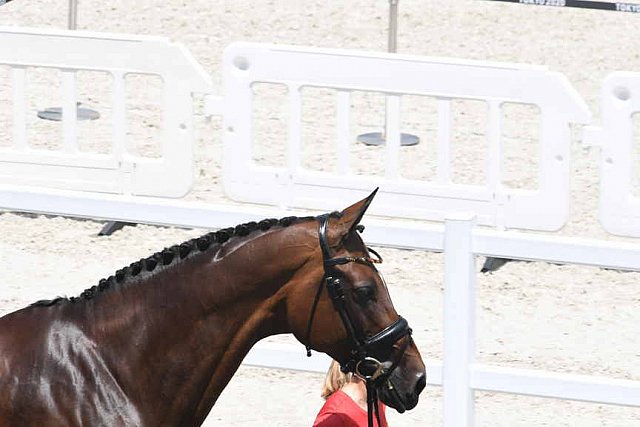 OLY-2020-DRESSAGE-JOG-7-24-21-1020-137-H LANGEHANENBERG-ANNABELLE 110-GER-DDEROSAPHOTO