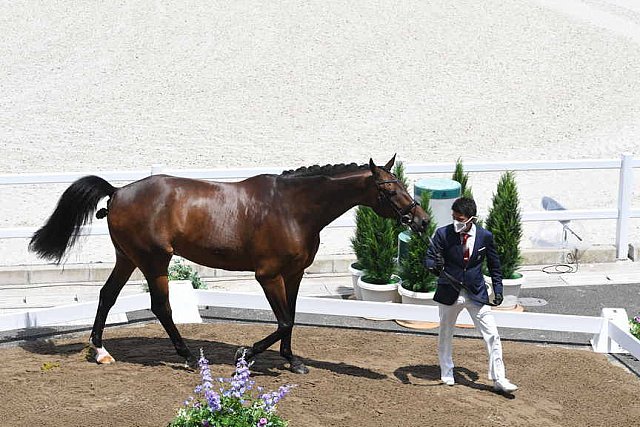 OLY-2020-DRESSAGE-JOG-7-24-21-1084-143-SHINGO HAYASHI-SCOLARI 4-JPN-DDEROSAPHOTO