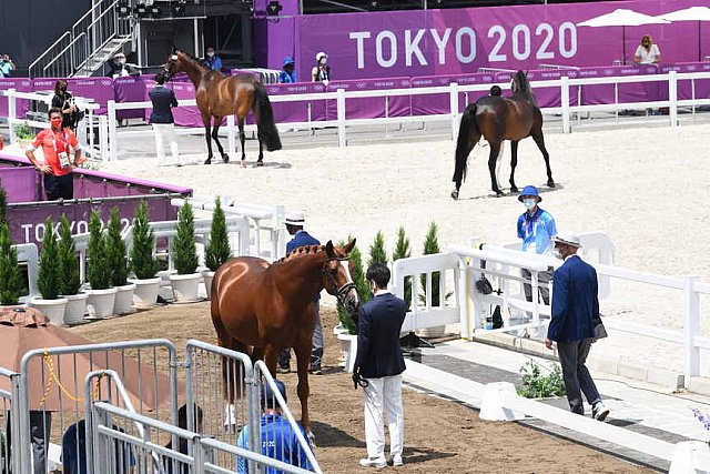 OLY-2020-DRESSAGE-JOG-7-24-21-1109-145-HKAZUKI SADO-LUDWIG DER SONNENKOENIG 2-JPN-DDEROSAPHOTO
