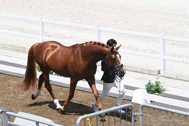 OLY-2020-DRESSAGE-JOG-7-24-21-1112-145-HKAZUKI SADO-LUDWIG DER SONNENKOENIG 2-JPN-DDEROSAPHOTO