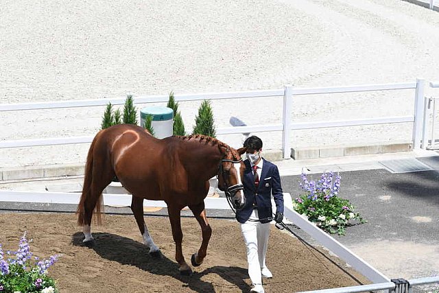 OLY-2020-DRESSAGE-JOG-7-24-21-1114-145-HKAZUKI SADO-LUDWIG DER SONNENKOENIG 2-JPN-DDEROSAPHOTO