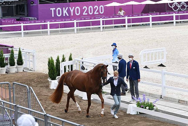 OLY-2020-DRESSAGE-JOG-7-24-21-1141-148 N WAGNER EHLINGER-QUATER BACK JUNIOR FRN-LUX-DDEROSAPHOTO