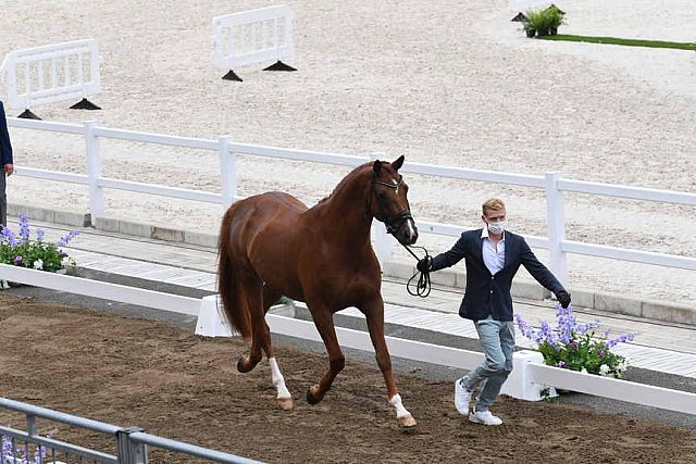 OLY-2020-DRESSAGE-JOG-7-24-21-1145-148 N WAGNER EHLINGER-QUATER BACK JUNIOR FRN-LUX-DDEROSAPHOTO