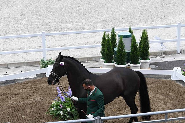 OLY-2020-DRESSAGE-JOG-7-24-21-1160-149-YESSUB RAHMOUNI-ALL AT ONCE-MOR-DDEROSAPHOTO