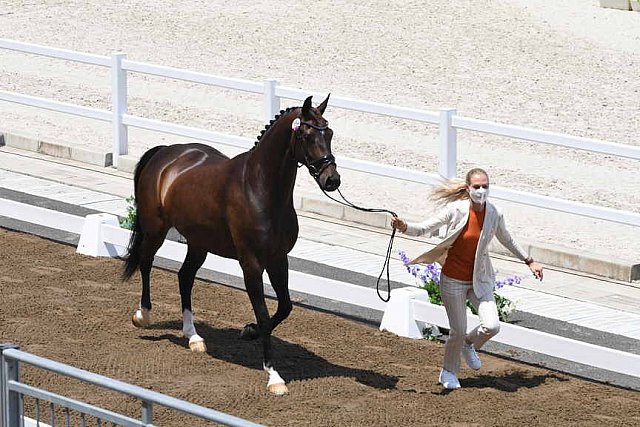 OLY-2020-DRESSAGE-JOG-7-24-21-1227-154-DINGE VAN LIERE-HAUTE COUTURE-NED-DDEROSAPHOTO