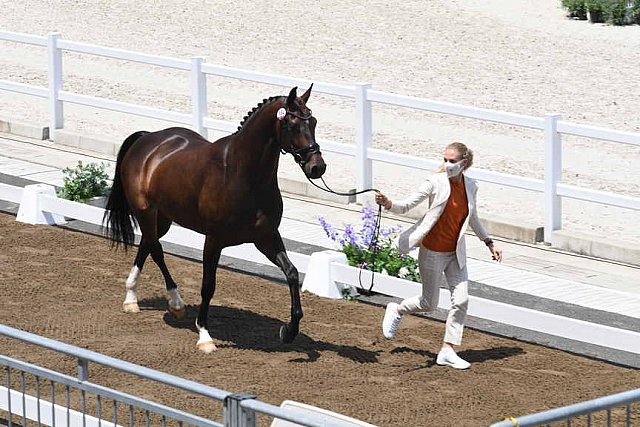 OLY-2020-DRESSAGE-JOG-7-24-21-1228-154-DINGE VAN LIERE-HAUTE COUTURE-NED-DDEROSAPHOTO