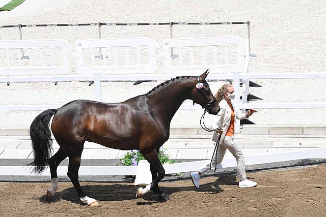 OLY-2020-DRESSAGE-JOG-7-24-21-1230-154-DINGE VAN LIERE-HAUTE COUTURE-NED-DDEROSAPHOTO