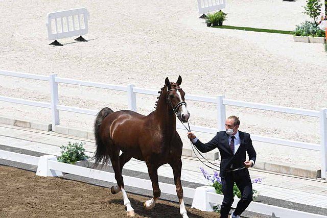 OLY-2020-DRESSAGE-JOG-7-24-21-1332-162-MARIA SHUVALOVA-FAMOUS CROSS-ROC-DDEROSAPHOTO
