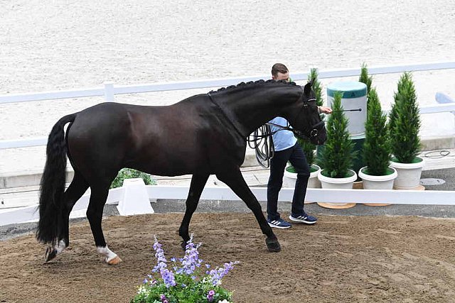 OLY-2020-DRESSAGE-JOG-7-24-21-1363-167-THERESE NILSHAGEN-DANTE WELTINO OLD-SWE-DDE-SWE-DDEROSAPHOTO