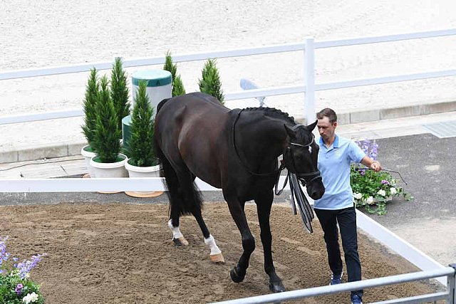 OLY-2020-DRESSAGE-JOG-7-24-21-1364-167-THERESE NILSHAGEN-DANTE WELTINO OLD-SWE-DDE-SWE-DDEROSAPHOTO