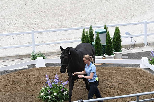 OLY-2020-DRESSAGE-JOG-7-24-21-1377-168-ANTONIA RAMEL-BROTHER DE JEU-SWE-DDEROSAPHOTO