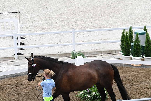 OLY-2020-DRESSAGE-JOG-7-24-21-1395-169-JULIETTE RAMEL-BURIEL K.H-SWE-DDEROSAPHOTO