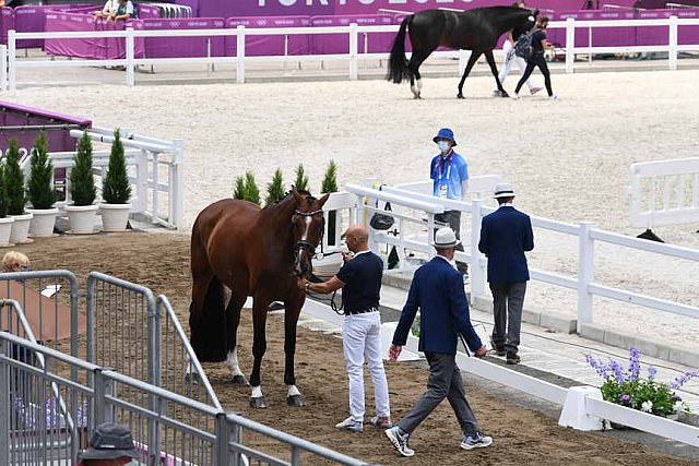 OLY-2020-DRESSAGE-JOG-7-24-21-1438-172-STEFFEN PETERS-SUPPERKASPER-USA-DDEROSAPHOTO