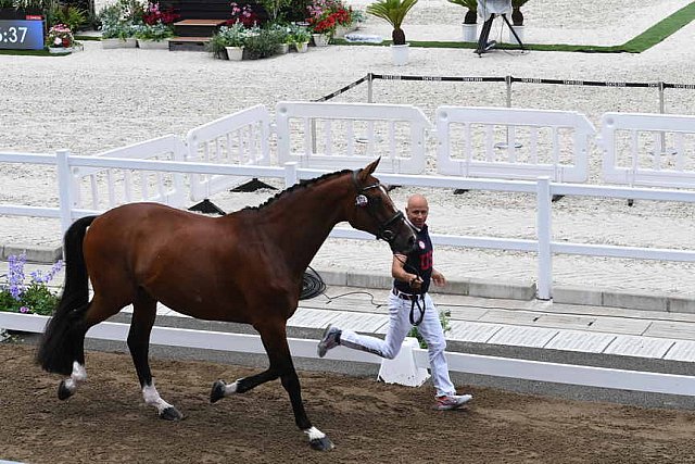 OLY-2020-DRESSAGE-JOG-7-24-21-1451-172-STEFFEN PETERS-SUPPERKASPER-USA-DDEROSAPHOTO
