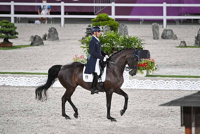 OLY-2020-DRESSAGE-GP DAY1-7-24-21-4931-142-FRANCESCO ZAZA-WITHERING ROMANCE-ITA-DDEROSAPHOTO