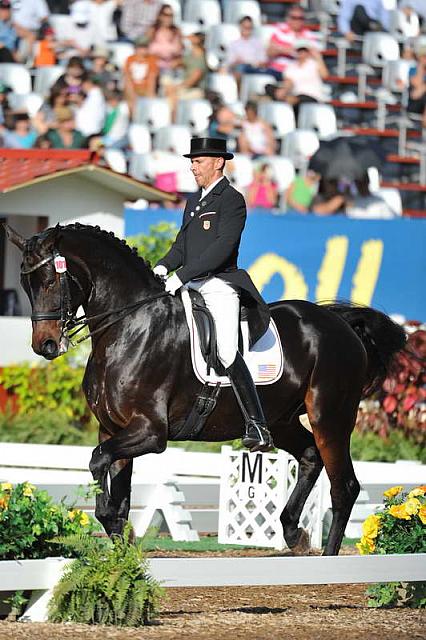 PanAmGames-MX-10-19-11-7566-DRE-IND-SteffenPeters-WeltinosMagic-USA-DDeRosaPhoto.JPG