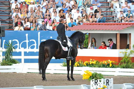 PanAmGames-MX-10-19-11-7767-DRE-IND-SteffenPeters-WeltinosMagic-USA-DDeRosaPhoto.JPG